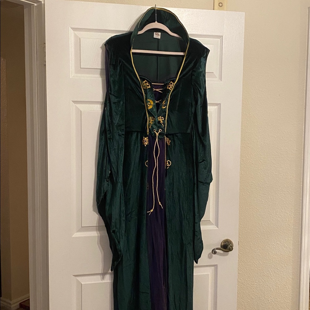 Disney Hocus Pocus Green Garment